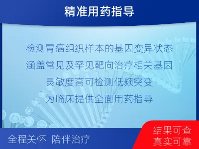 利川-胃癌靶药基因检测-检测流程