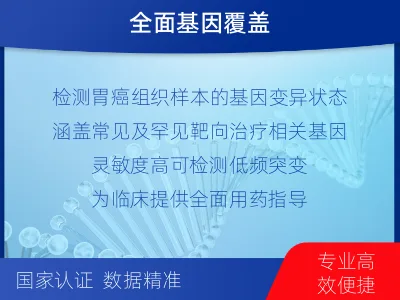 紫云-胃癌靶药基因检测-检测介绍