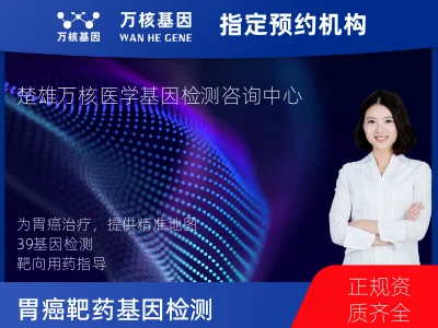 胃癌靶向用药39基因检测（组织）