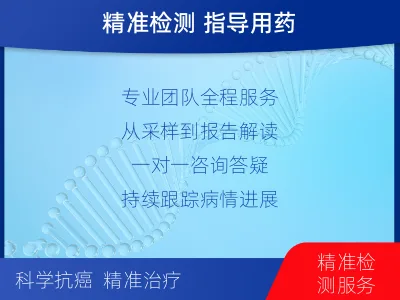 阿克苏-实体肿瘤细胞检测-报告解读