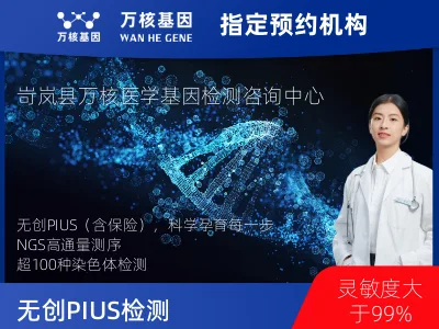 无创PIUS（含保险）