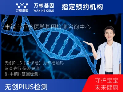 无创PIUS（含保险）