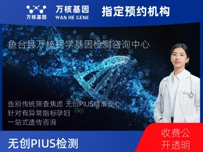 无创PIUS（含保险）