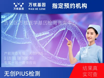 三亚市吉阳区无创PIUS（含保险）