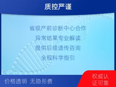 永善-染色体异常检测-报告解读