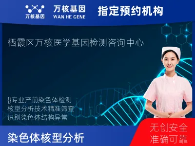 染色体核型分析