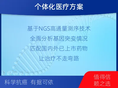 永新-肺癌靶药基因检测-检测流程