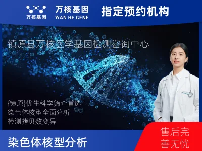 染色体核型分析