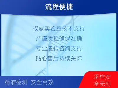 成武-无创胎儿亲子鉴定-检测流程