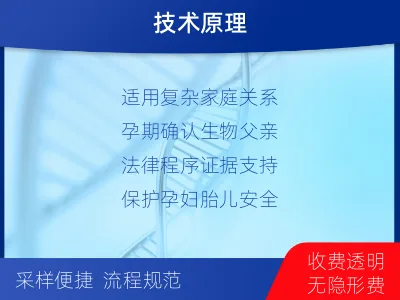 金沙-无创胎儿亲子鉴定-检测流程