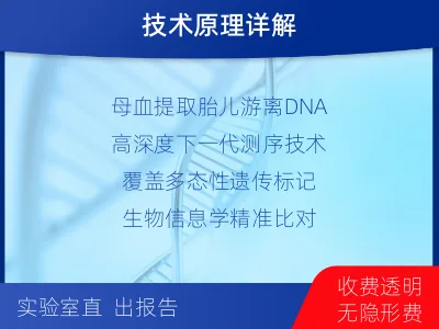威宁-无创胎儿亲子鉴定-检测介绍