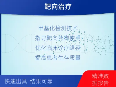 新邵-肺癌甲基化-报告解读