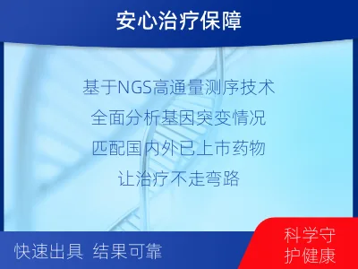 乐都-肺癌靶药基因检测-检测介绍