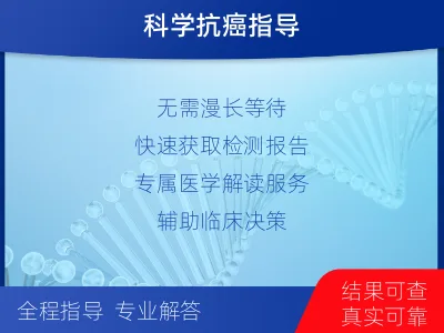 泰和-肺癌组织基因检测-检测介绍