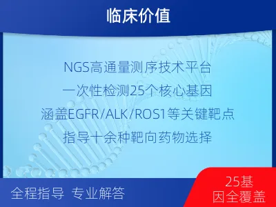 四子王-肺癌靶药基因检测-检测流程
