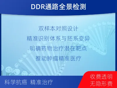 深州-双样本-DNA损伤修复组织基-检测介绍