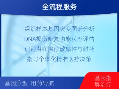 榆次-双样本-DNA损伤修复组织基-检测介绍