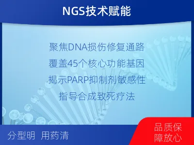 鄂托克前-双样本-DNA损伤修复组织基-报告解读