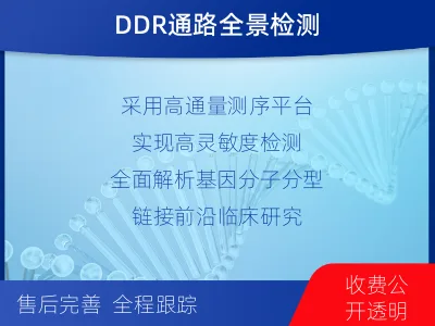 东湖-双样本-DNA损伤修复组织基-检测介绍