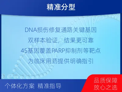 红谷滩-双样本-DNA损伤修复组织基-检测流程