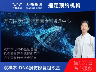 双样本-DNA损伤修复组织45基因分子分型研究