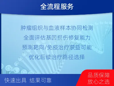 安福-双样本-DNA损伤修复组织基-适用人群