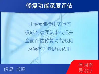 曹-双样本-DNA损伤修复组织基-检测流程