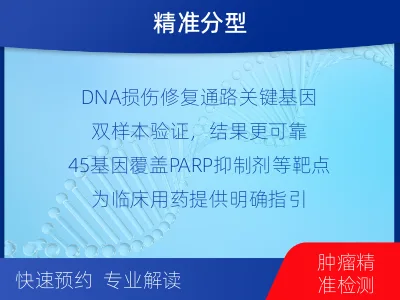 单-双样本-DNA损伤修复组织基-检测介绍