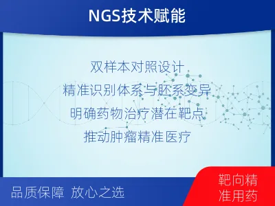 成武-双样本-DNA损伤修复组织基-检测流程