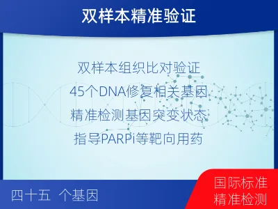 鄄城-双样本-DNA损伤修复组织基-检测流程