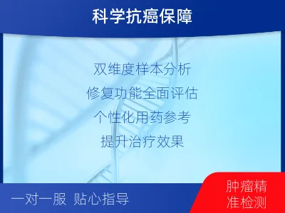 内乡-双样本-DNA损伤修复组织基-检测流程