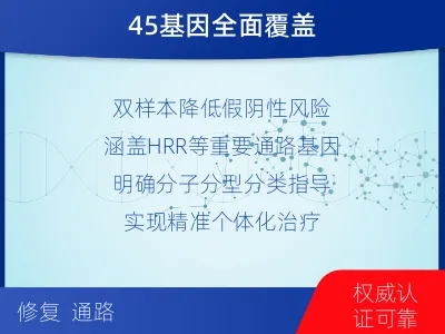 常宁-双样本-DNA损伤修复组织基-报告解读