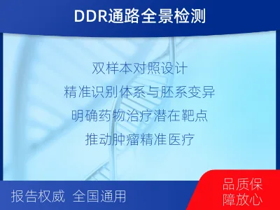 道孚-双样本-DNA损伤修复组织基-报告解读