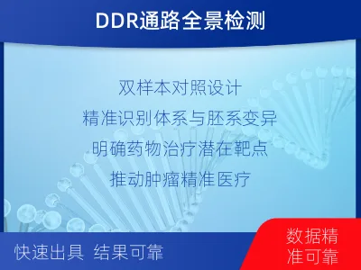金阳-双样本-DNA损伤修复组织基-适用人群