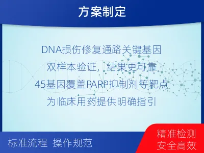 喜德-双样本-DNA损伤修复组织基-报告解读