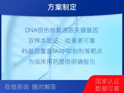 贞丰-双样本-DNA损伤修复组织基-检测介绍