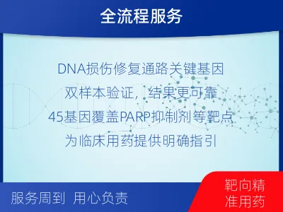 贞丰-双样本-DNA损伤修复组织基-适用人群