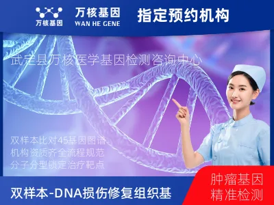 双样本-DNA损伤修复组织45基因分子分型研究