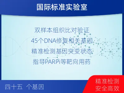 庆城-双样本-DNA损伤修复组织基-检测流程