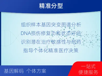 拜城-双样本-DNA损伤修复组织基-报告解读
