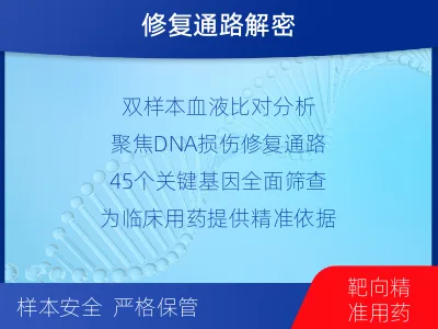 苏家屯-双样本-DNA损伤修复血液基-检测流程