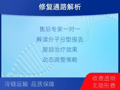 溧水-双样本-DNA损伤修复血液基-检测介绍