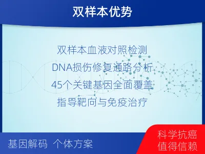 芦溪-双样本-DNA损伤修复血液基-报告解读