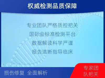 南昌-单样本-DNA损伤修复胚系基-检测流程