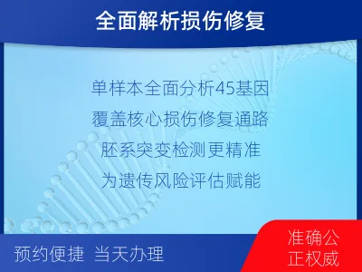 襄阳-单样本-DNA损伤修复胚系基-报告解读