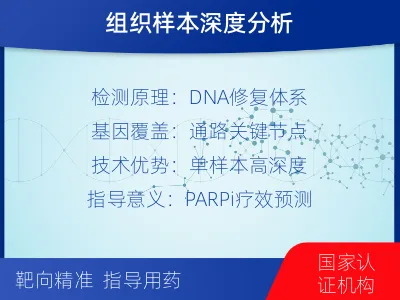 青原-单样本-DNA损伤修复组织体-检测介绍