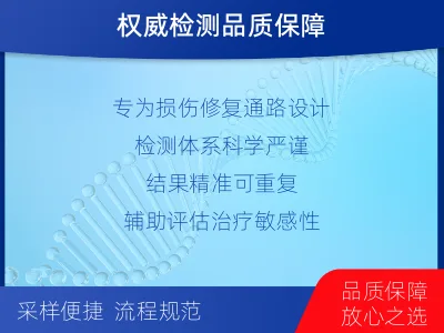 修武-单样本-DNA损伤修复组织体-检测介绍