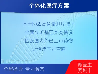 滨江-肺癌靶药基因检测-检测流程