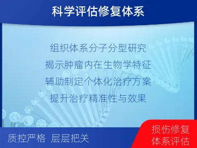 安康-单样本-DNA损伤修复组织体-检测介绍