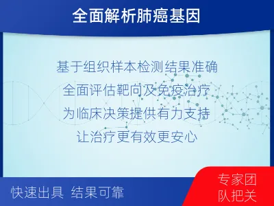路北-单样本-肺癌组织基因检测-报告解读